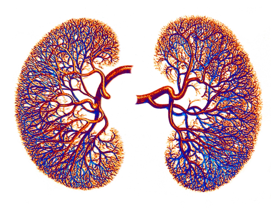 Quem somos Urologia Vida